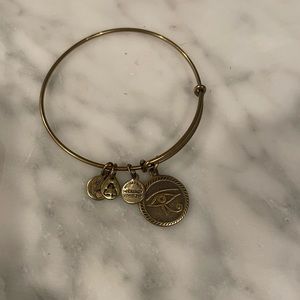 Alex and Ani Charm Bangle